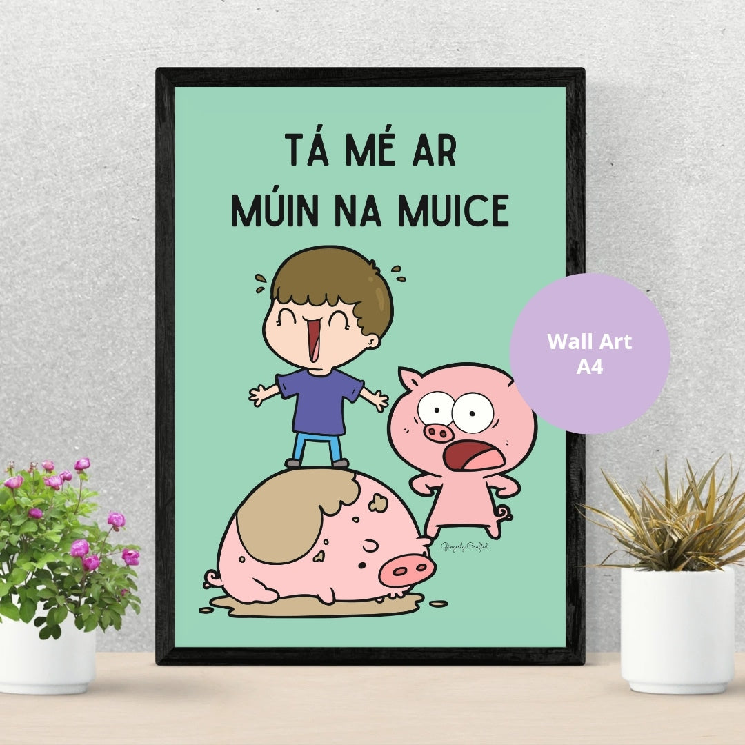 Múin na Muice